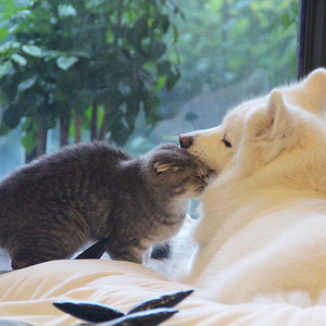 老公边干边说小骚B视频
