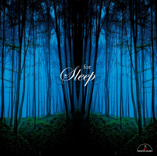 老公边干边说小骚B视频
